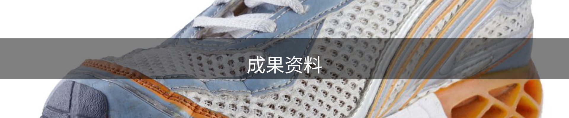 成果资料